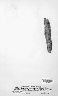 Image Associated With the Occurence